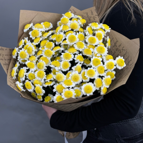 Букет "Моё солнышко" из 11 хризантем сантини  в Рошале