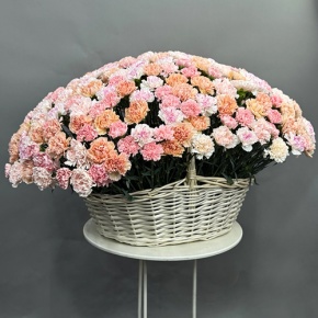 Композиция в корзине из 251 диантуса микс в Рошале