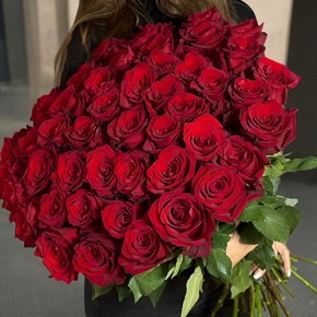 Букет 51 роза Эквадор Эксплорер (60 см) в Рошале