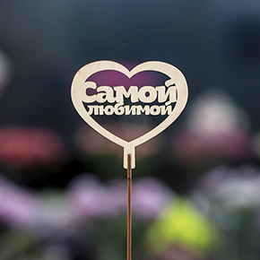 Топпер Самой Любимой в Рошале