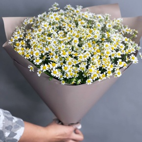 Букет из 17 ромашек танацетум в Рошале