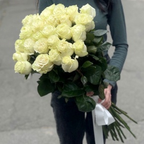 Монобукет из 25 роз Эквадор Мондиаль (80 см) в Рошале