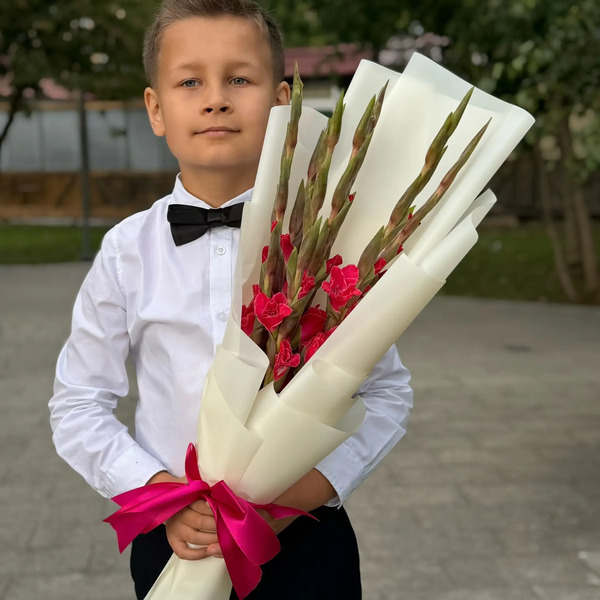 Букет на 1 сентября из 7 малиновых гладиолусов в Рошале