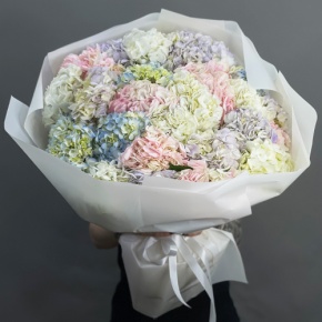 Букет из 23 гортензий микс в Рошале