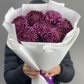 Букет "Винная легенда" из 7 хризантем Бигоуди в Рошале