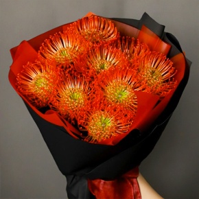 Букет из 9 лейко в Рошале