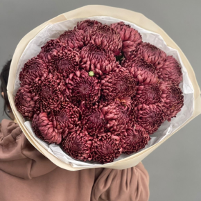 Букет 21 шоколадной хризантемы Бигоуди в Рошале