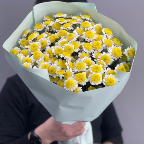 Букет "Моё солнышко" из 17 хризантем сантини  в Рошале