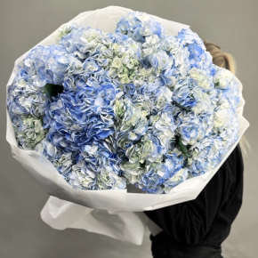 Букет из 23 синих гортензий в Рошале