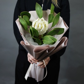 Букет "Великолепная" из экзотичной протеи в Рошале