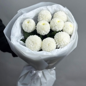 Букет из 9 белых хризантем Момоко в Рошале