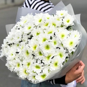 Букет "Лаймовый" из 15 кустовых хризантем в Рошале