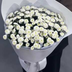 Букет "Белая дымка" из 25 хризантем сантини в Рошале