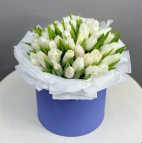 Букет из 49 белых тюльпанов в синей коробке в Рошале