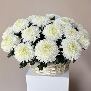 Композиция в корзине из 25 хризантем Магнум в Рошале