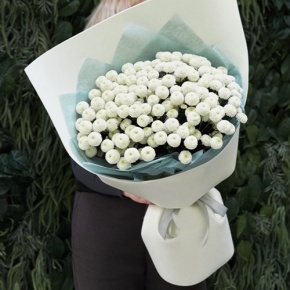 Букет из 25 хризантем Ньютон в Рошале