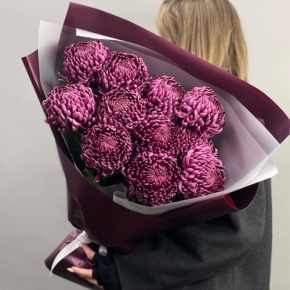 Букет "Изобилие" из 11 винных хризантем Бигоуди в Рошале