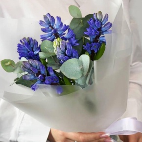 Букет "Мини" из 5 ароматных гиацинтов и эвкалипта в Рошале