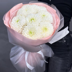 Нежный букет из 7 хризантем Магнум в Рошале