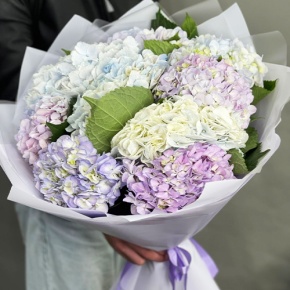 Букет из 9 Голландских гортензий микс в Рошале