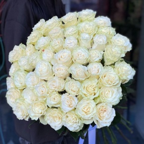 Букет из 51 розы Эквадор Мондиаль под ленту (80 см) в Рошале