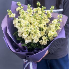 Букет из 15 лимонных маттиол в Рошале