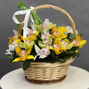 Композиция в корзине из 25 орхидей микс в Рошале
