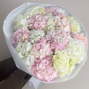 Букет из 17 нежных гортензий в Рошале