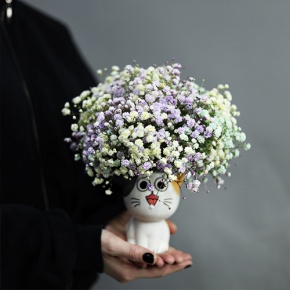 Композиция из гипсофил в керамическом кашпо в Рошале