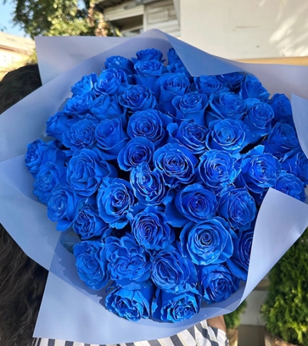 Букет из 51 синей розы Эквадор (60 см) в Рошале