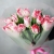 Букет "Фламинго" из 11 пионовидных тюльпанов в Рошале Букет "Фламинго" из 11 пионовидных тюльпанов в Рошале