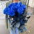 15 синих LUX роз Эквадор (70 см) в Рошале 15 синих LUX роз Эквадор (70 см) в Рошале