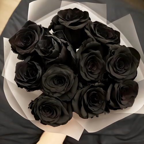 Букет "Черная королева" из 11 черных роз Эквадор (60 см) в Рошале