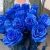 15 синих LUX роз Эквадор (70 см) в Рошале 15 синих LUX роз Эквадор (70 см) в Рошале