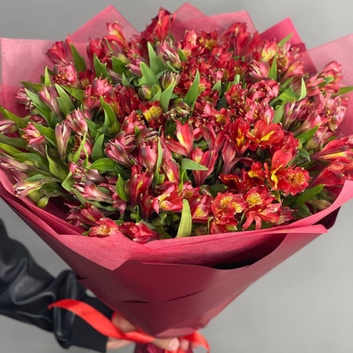 Монобукет из 25 красных альстромерий в Рошале
