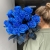 15 синих LUX роз Эквадор (70 см) в Рошале 15 синих LUX роз Эквадор (70 см) в Рошале