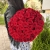 Букет 51 красной розы 50 см в Рошале Букет 51 красной розы 50 см в Рошале