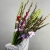Букет из 25 гладиолусов микс в Рошале Букет из 25 гладиолусов микс в Рошале