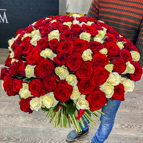 Букет 151 роза красный и белый микс (60 см) в Рошале