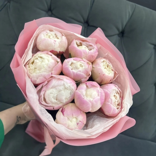 Букет из 9 нежных пионов Гардения в Рошале