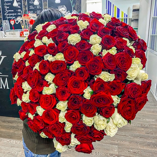 Букет 151 роза красный и белый микс (60 см) в Рошале