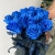 15 синих LUX роз Эквадор (70 см) в Рошале 15 синих LUX роз Эквадор (70 см) в Рошале