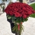 Букет из 101 красной розы (90 см) в Рошале Букет из 101 красной розы (90 см) в Рошале