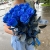 15 синих LUX роз Эквадор (70 см) в Рошале 15 синих LUX роз Эквадор (70 см) в Рошале