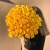 Букет "Ярче солнца" из 55 лимонных роз (50 см) в Рошале Букет "Ярче солнца" из 55 лимонных роз (50 см) в Рошале