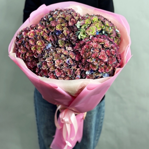 Букет из 5 космических Голландских гортензий в Рошале
