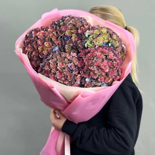 Букет из 5 космических Голландских гортензий в Рошале